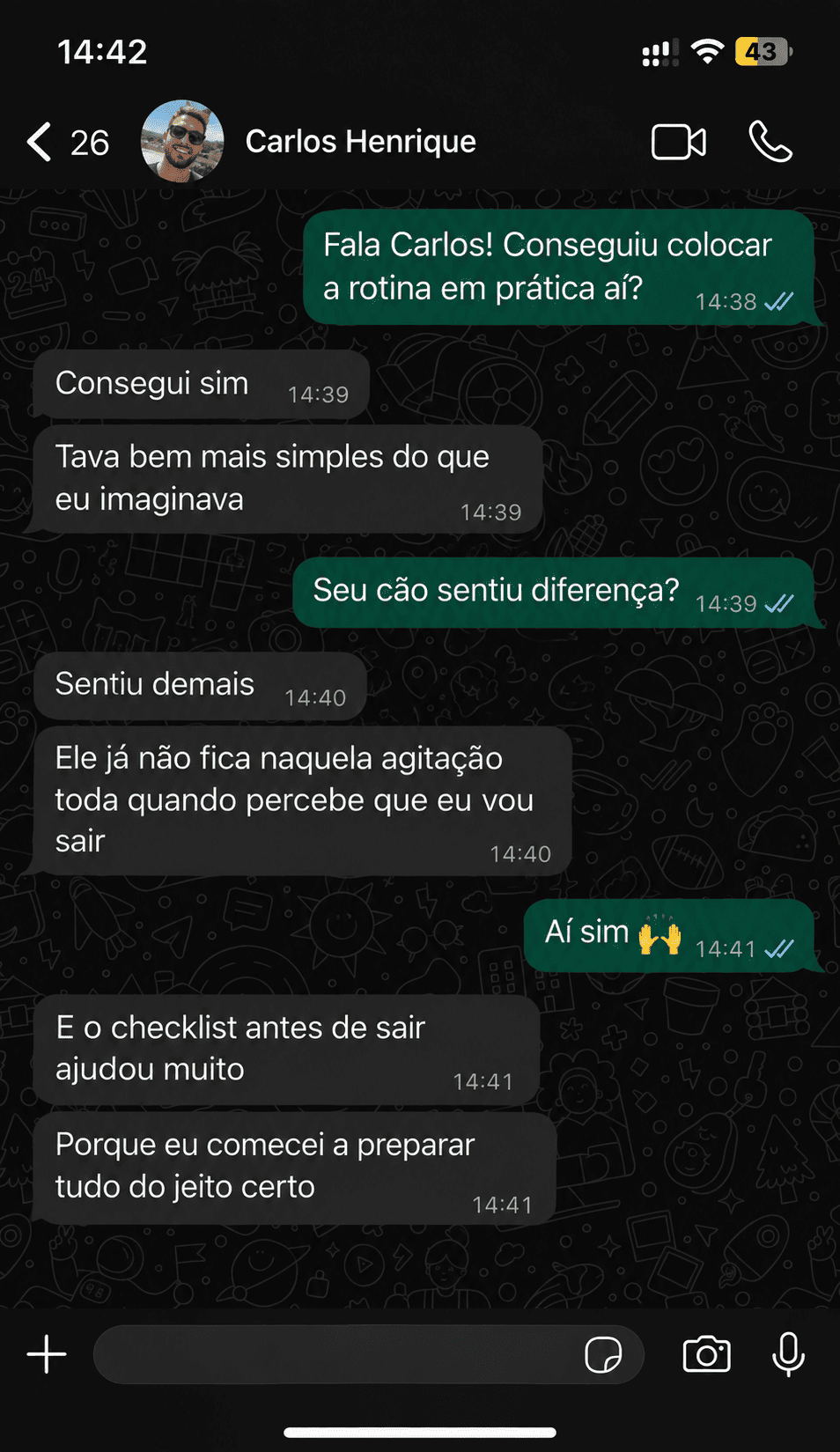 Print de conversa no WhatsApp com relato de cliente 2